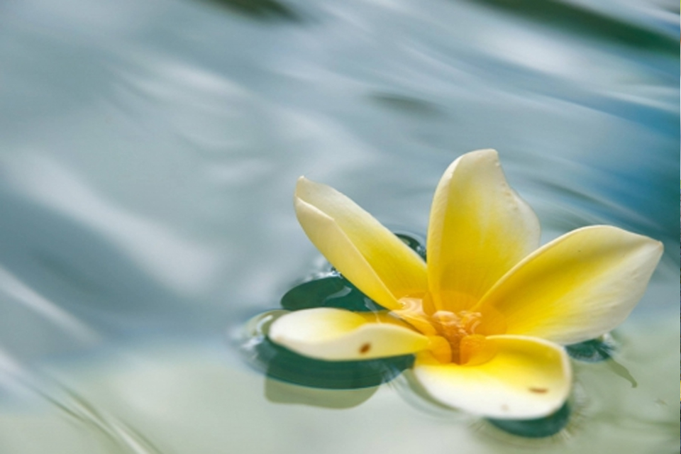 Types of Funerals: Burial at Sea